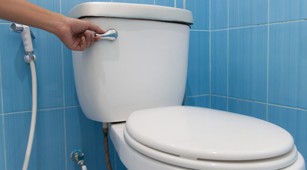 Find Solutions to 3 Most Common Toilet Flushing Problems